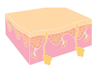 Sublative Rejuvenation: Everything You Need To Know | Modern Functional ...