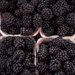 Blackberries Skin Care