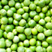 Pea Extract Skin Care