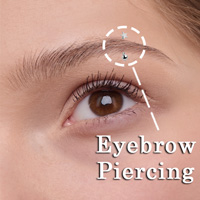 Eyebrow Piercing Example