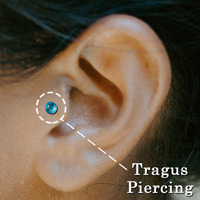 Tragus Piercing Example