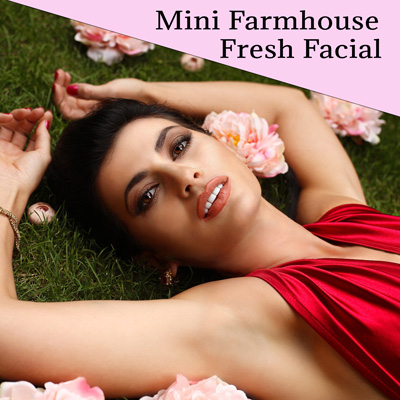 Mini Farmhouse Fresh Facial