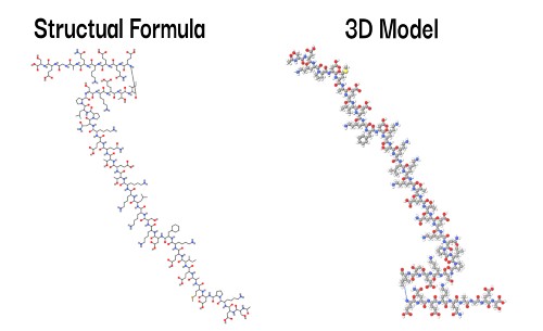 TB-500 Structural Formula and 3D Model